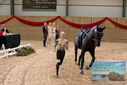 Filename=PT9_4379.JPG
Filesize=462KiB
Dimensions=1224x817
Date added=Oct 03, 2022 PT9_4379.JPG
