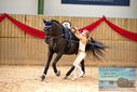 Filename=PT9_4393.JPG
Filesize=425KiB
Dimensions=1224x817
Date added=Oct 03, 2022 PT9_4393.JPG