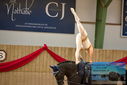Filename=PT9_4396.JPG
Filesize=317KiB
Dimensions=1224x817
Date added=Oct 03, 2022 PT9_4396.JPG