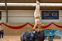 Filename=PT9_4400.JPG
Filesize=338KiB
Dimensions=1224x817
Date added=Oct 03, 2022 PT9_4400.JPG