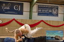 Filename=PT9_4403.JPG
Filesize=295KiB
Dimensions=1224x817
Date added=Oct 03, 2022 PT9_4403.JPG