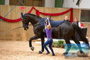 Filename=PT9_4407.JPG
Filesize=417KiB
Dimensions=1224x817
Date added=Oct 03, 2022 PT9_4407.JPG