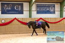 Filename=PT9_4412.JPG
Filesize=398KiB
Dimensions=1224x817
Date added=Oct 03, 2022 PT9_4412.JPG