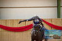 Filename=PT9_4426.JPG
Filesize=278KiB
Dimensions=1224x817
Date added=Oct 03, 2022 PT9_4426.JPG