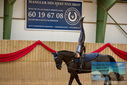 Filename=PT9_4428.JPG
Filesize=368KiB
Dimensions=1224x817
Date added=Oct 03, 2022 PT9_4428.JPG