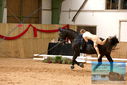 Filename=PT9_4436.JPG
Filesize=427KiB
Dimensions=1224x817
Date added=Oct 03, 2022 PT9_4436.JPG