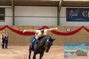 Filename=PT9_4437.JPG
Filesize=375KiB
Dimensions=1224x817
Date added=Oct 03, 2022 PT9_4437.JPG