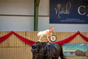 Filename=PT9_4443.JPG
Filesize=315KiB
Dimensions=1224x817
Date added=Oct 03, 2022 PT9_4443.JPG