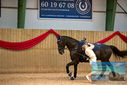 Filename=PT9_4445.JPG
Filesize=377KiB
Dimensions=1224x817
Date added=Oct 03, 2022 PT9_4445.JPG