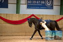 Filename=PT9_4446.JPG
Filesize=366KiB
Dimensions=1224x817
Date added=Oct 03, 2022 PT9_4446.JPG