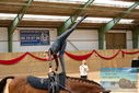 Filename=PT9_4511.JPG
Filesize=340KiB
Dimensions=1224x817
Date added=Oct 03, 2022 PT9_4511.JPG