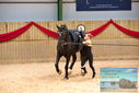 Filename=PT9_4553.JPG
Filesize=342KiB
Dimensions=1224x817
Date added=Oct 03, 2022 PT9_4553.JPG