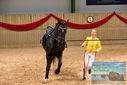 Filename=PT9_4564.JPG
Filesize=432KiB
Dimensions=1224x817
Date added=Oct 03, 2022 PT9_4564.JPG