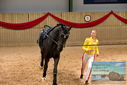 Filename=PT9_4565.JPG
Filesize=416KiB
Dimensions=1224x817
Date added=Oct 03, 2022 PT9_4565.JPG