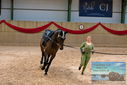Filename=PT9_4645.JPG
Filesize=439KiB
Dimensions=1224x817
Date added=Oct 03, 2022 PT9_4645.JPG