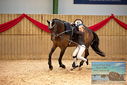 Filename=PT9_4660.JPG
Filesize=940KiB
Dimensions=1224x817
Date added=Oct 03, 2022 PT9_4660.JPG
