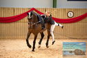 Filename=PT9_4662.JPG
Filesize=413KiB
Dimensions=1224x817
Date added=Oct 03, 2022 PT9_4662.JPG
