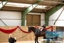Filename=PT9_4699.JPG
Filesize=387KiB
Dimensions=1224x817
Date added=Oct 03, 2022 PT9_4699.JPG