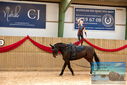 Filename=PT9_4701.JPG
Filesize=406KiB
Dimensions=1224x817
Date added=Oct 03, 2022 PT9_4701.JPG