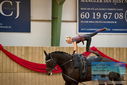 Filename=PT9_4705.JPG
Filesize=306KiB
Dimensions=1224x817
Date added=Oct 03, 2022 PT9_4705.JPG
