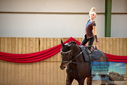 Filename=PT9_4706.JPG
Filesize=281KiB
Dimensions=1224x817
Date added=Oct 03, 2022 PT9_4706.JPG