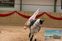 Filename=PT9_4712.JPG
Filesize=394KiB
Dimensions=1224x817
Date added=Oct 03, 2022 PT9_4712.JPG