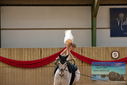 Filename=PT9_4715.JPG
Filesize=304KiB
Dimensions=1224x817
Date added=Oct 03, 2022 PT9_4715.JPG