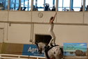 Filename=PT9_4720.JPG
Filesize=319KiB
Dimensions=1224x817
Date added=Oct 03, 2022 PT9_4720.JPG