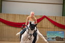 Filename=PT9_4728.JPG
Filesize=273KiB
Dimensions=1224x817
Date added=Oct 03, 2022 PT9_4728.JPG
