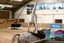 Filename=PT9_4730.JPG
Filesize=337KiB
Dimensions=1224x817
Date added=Oct 03, 2022 PT9_4730.JPG