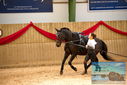Filename=PT9_4733.JPG
Filesize=408KiB
Dimensions=1224x817
Date added=Oct 03, 2022 PT9_4733.JPG