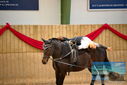 Filename=PT9_4739.JPG
Filesize=315KiB
Dimensions=1224x817
Date added=Oct 03, 2022 PT9_4739.JPG