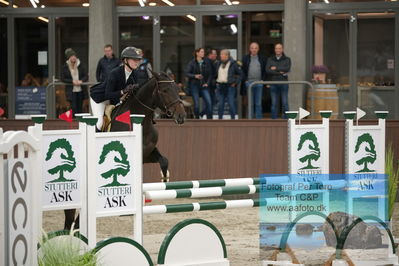 Blue Hors
1 kvl spring
Keywords: ine ulvsbjerg toft;ulllerups gazelle