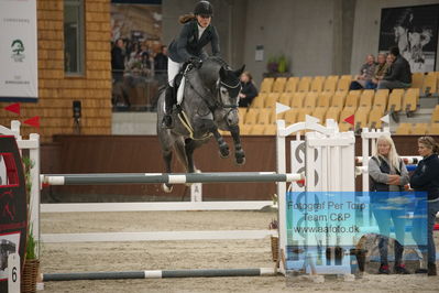 Blue Hors
1 kvl spring
Keywords: karen moeller rohde;jewel ask z