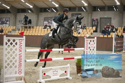 Blue Hors
1 kvl spring
Keywords: figeac ask;karen moeller rohde