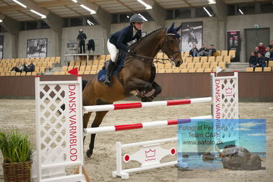 Blue Hors
1 kvl spring
Keywords: iben ulvsbjerg toft;ullerup's clifford