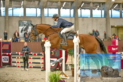 Blue Hors
2 kvl spring
Keywords: christian petersen;hamilton vest dwb