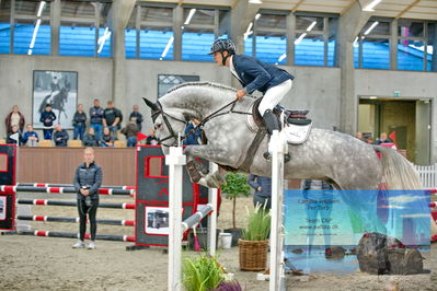 Blue Hors
2 kvl spring
Keywords: jacob theodor schmidt;avatar lox dwb