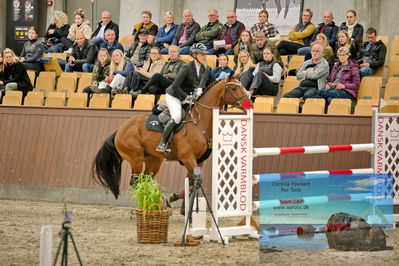 Blue Hors
2 kvl spring
Keywords: anne katrine kolborg johansen;hesselhoej captain morgan