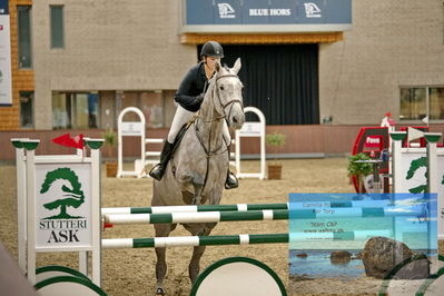 Blue Hors
2 kvl spring
Keywords: ida h meineche;syvhoejegaards final edition