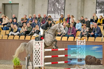 Blue Hors
2 kvl spring
Keywords: ida h meineche;syvhoejegaards final edition