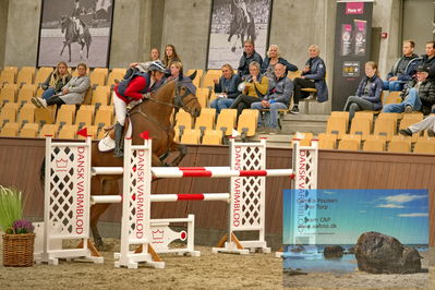 Blue Hors
2 kvl spring
Keywords: rikke haarstup kristensen;abba