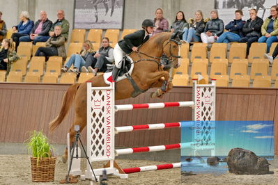 Blue Hors
2 kvl spring
Keywords: line hansen;apondio dwb