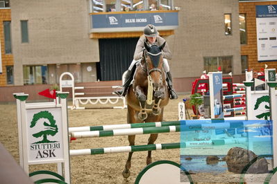 Blue Hors
2 kvl spring
Keywords: sille aakerblad;quite confident h