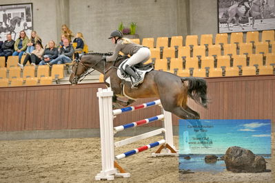 Blue Hors
2 kvl spring
Keywords: sille aakerblad;quite confident h