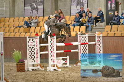Blue Hors
2 kvl spring
Keywords: sille aakerblad;quite confident h