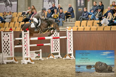 Blue Hors
2 kvl spring
Keywords: sille aakerblad;quite confident h