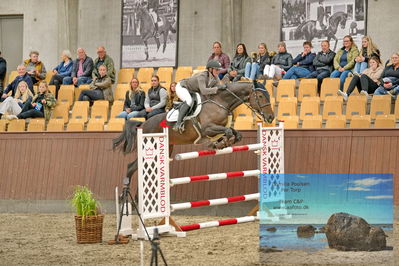 Blue Hors
2 kvl spring
Keywords: sille aakerblad;quite confident h