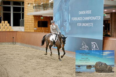 Blue Hors
2 kvl spring
Keywords: sille aakerblad;quite confident h