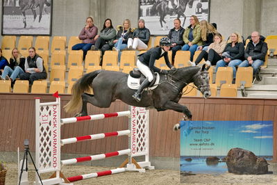 Blue Hors
2 kvl spring
Keywords: maja raabjerg soerensen;bonita c